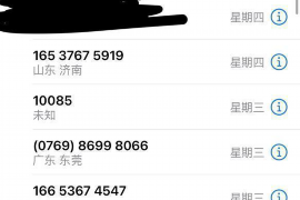 宜城贷款清欠服务